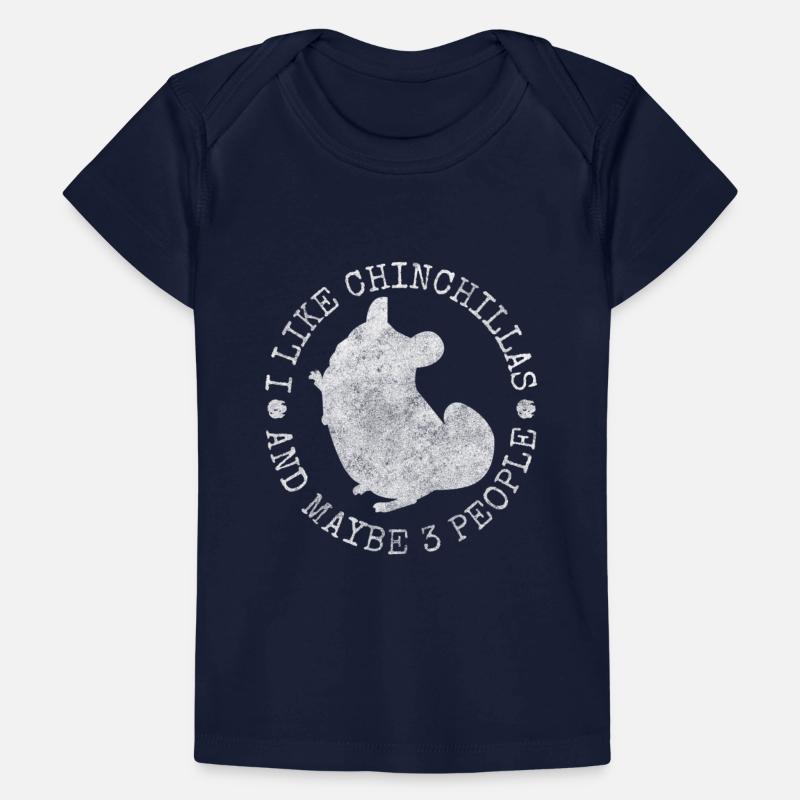 Chinchilla Rodent South America Cuddly