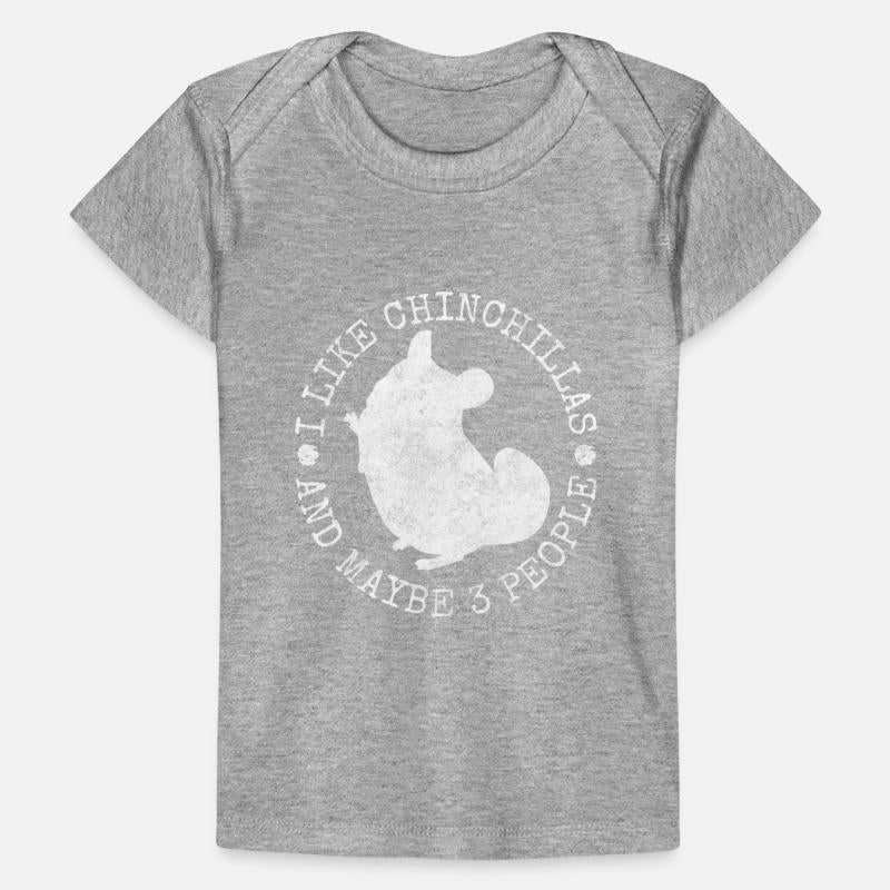 Chinchilla Rodent South America Cuddly