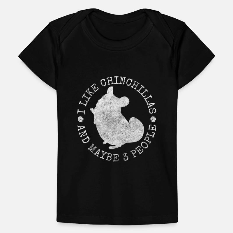 Chinchilla Rodent South America Cuddly