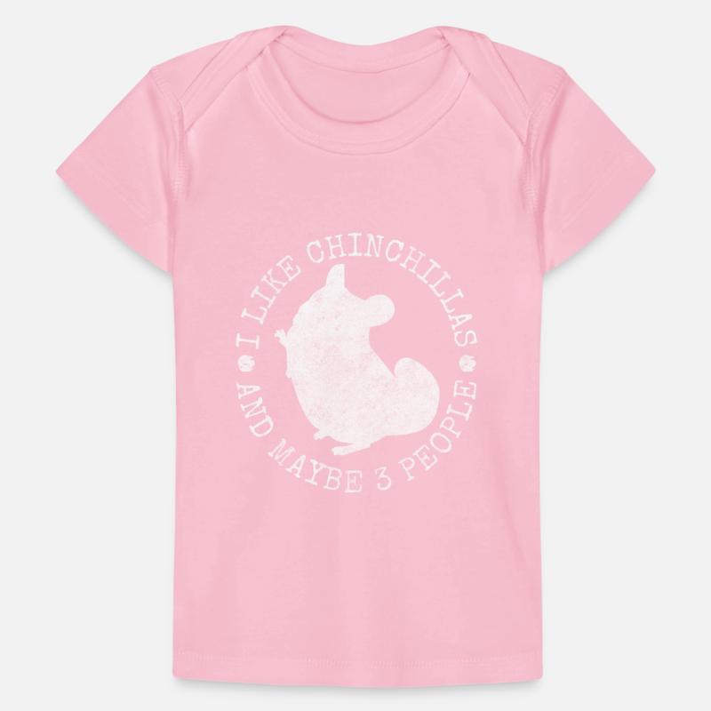 Chinchilla Rodent South America Cuddly