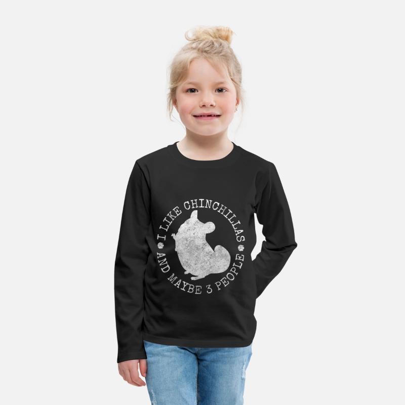 Chinchilla Rodent South America Cuddly