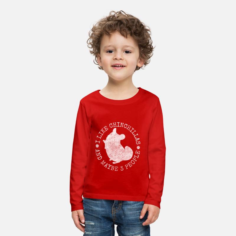 Chinchilla Rodent South America Cuddly