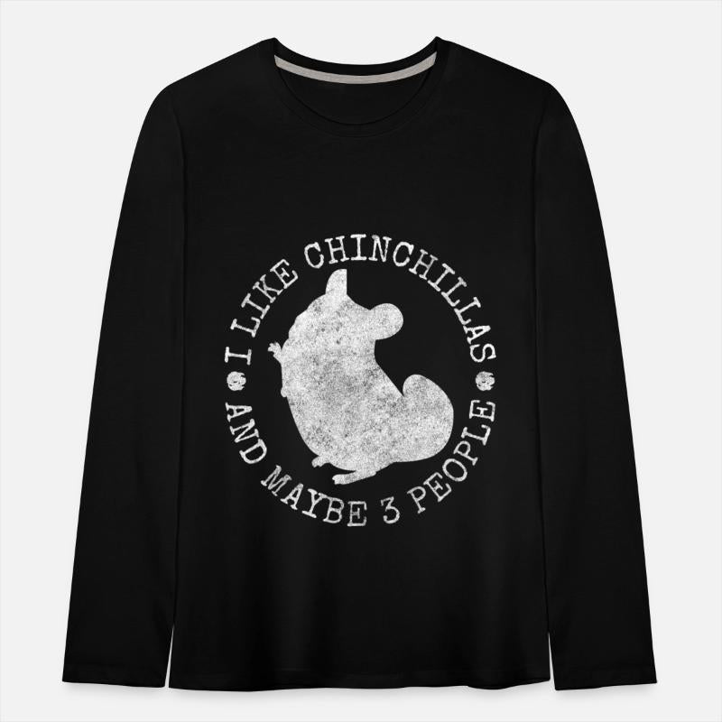 Chinchilla Rodent South America Cuddly