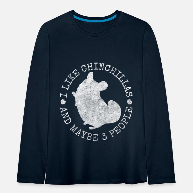 Chinchilla Rodent South America Cuddly