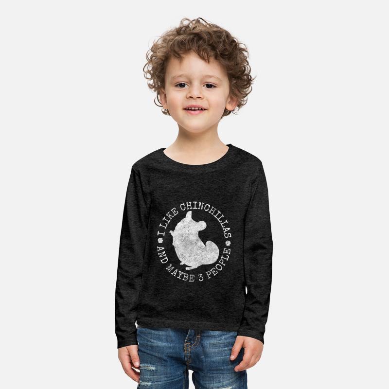 Chinchilla Rodent South America Cuddly