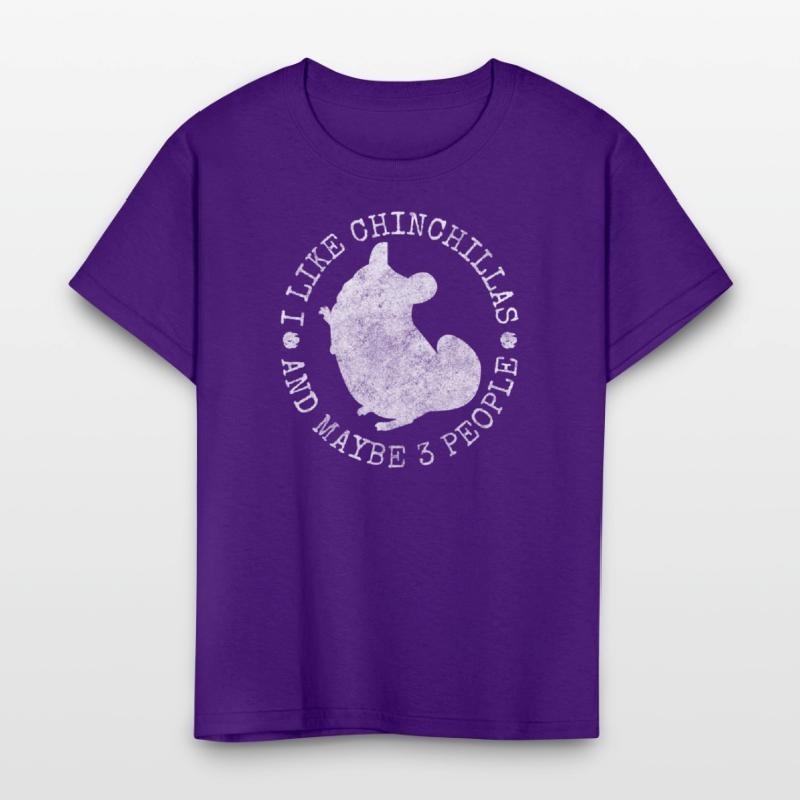 Chinchilla Rodent South America Cuddly