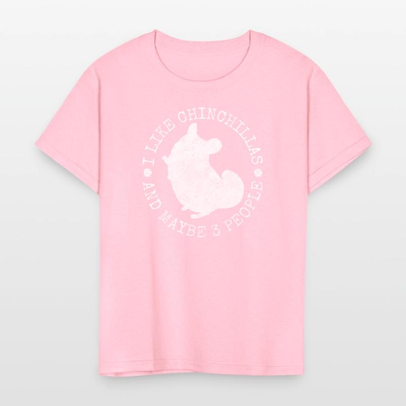 Chinchilla Rodent South America Cuddly