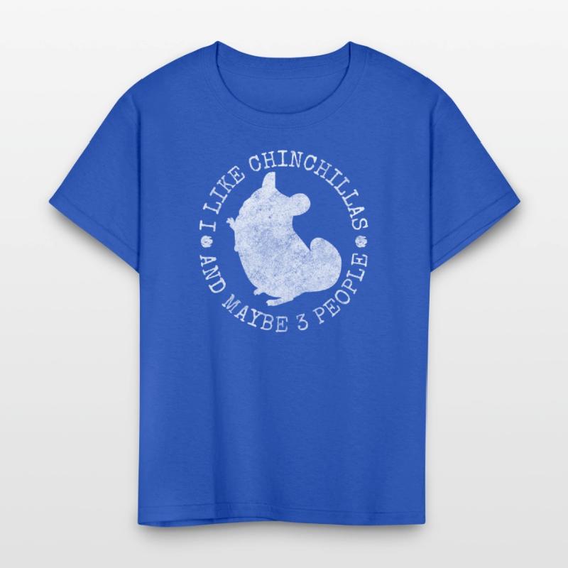 Chinchilla Rodent South America Cuddly