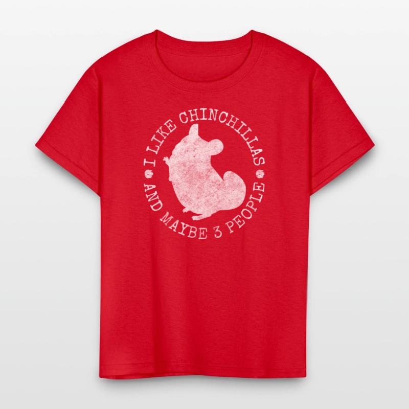 Chinchilla Rodent South America Cuddly