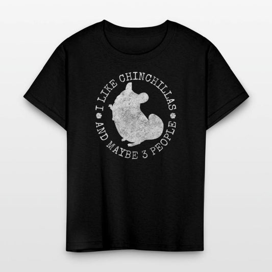 Chinchilla Rodent South America Cuddly