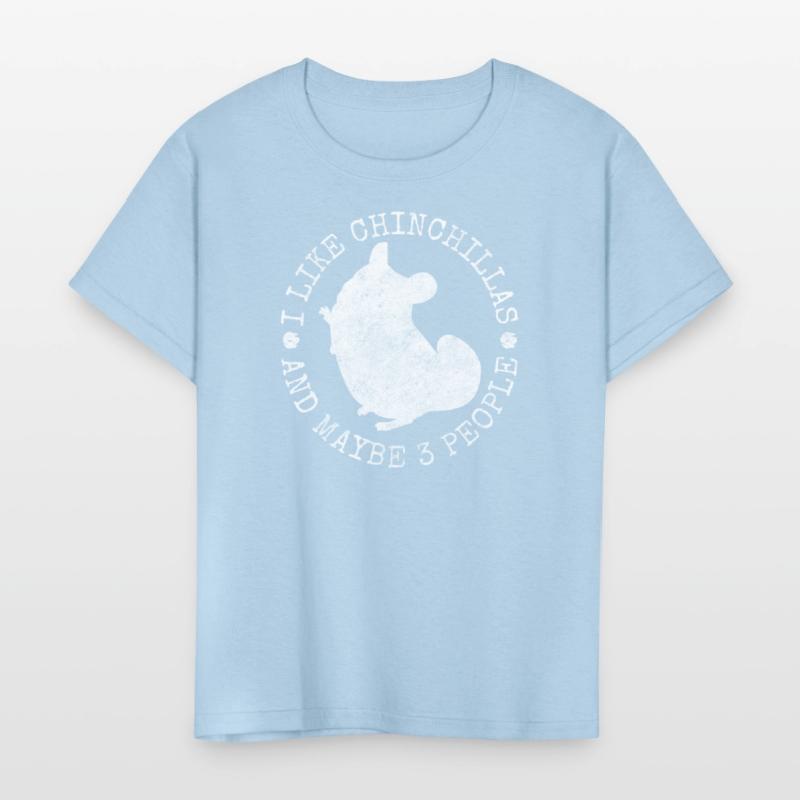 Chinchilla Rodent South America Cuddly