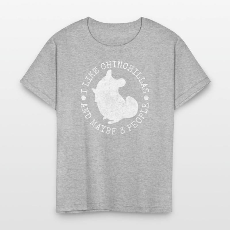 Chinchilla Rodent South America Cuddly