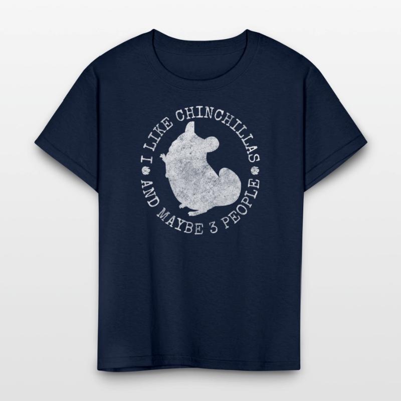 Chinchilla Rodent South America Cuddly