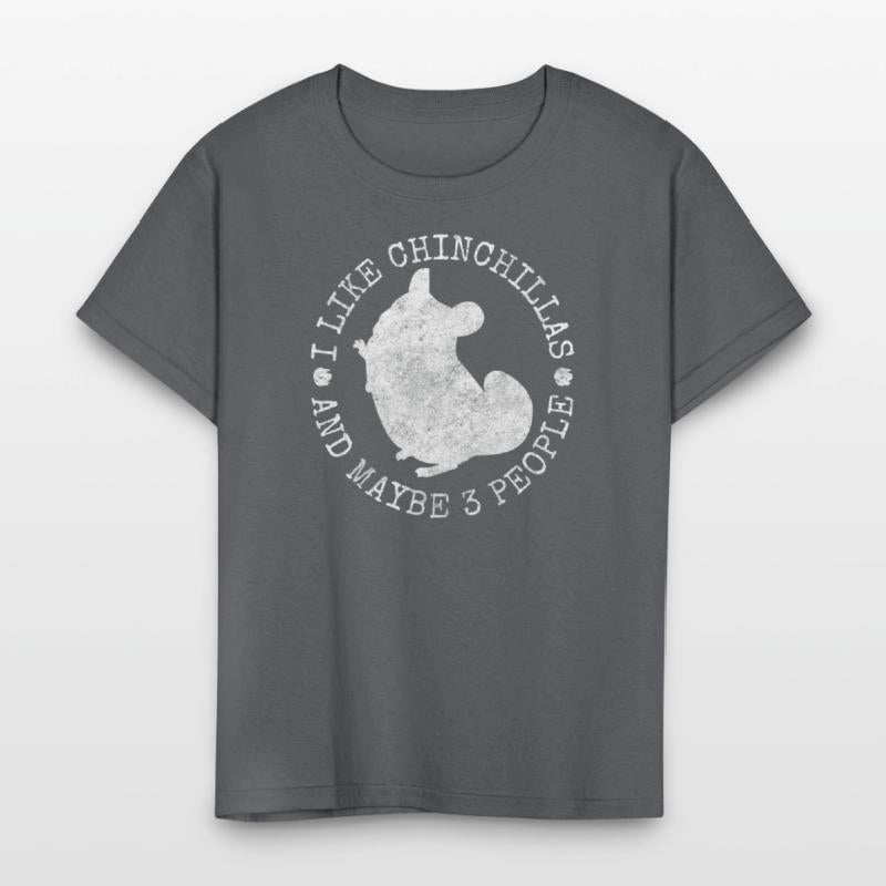 Chinchilla Rodent South America Cuddly