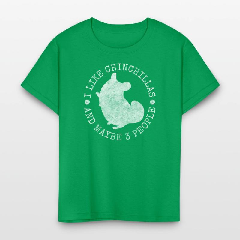 Chinchilla Rodent South America Cuddly