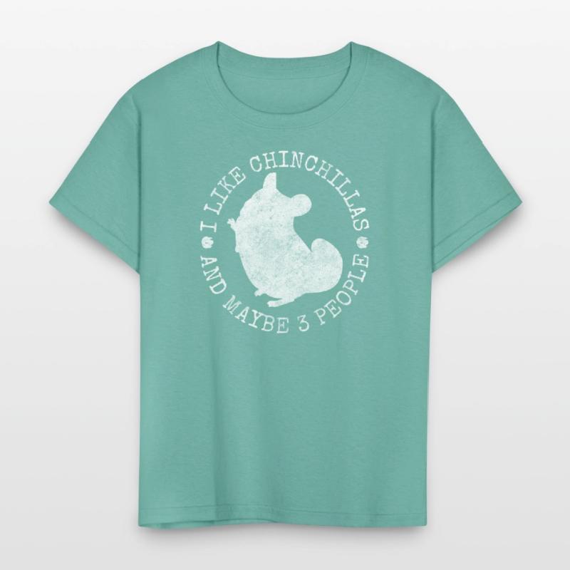 Chinchilla Rodent South America Cuddly