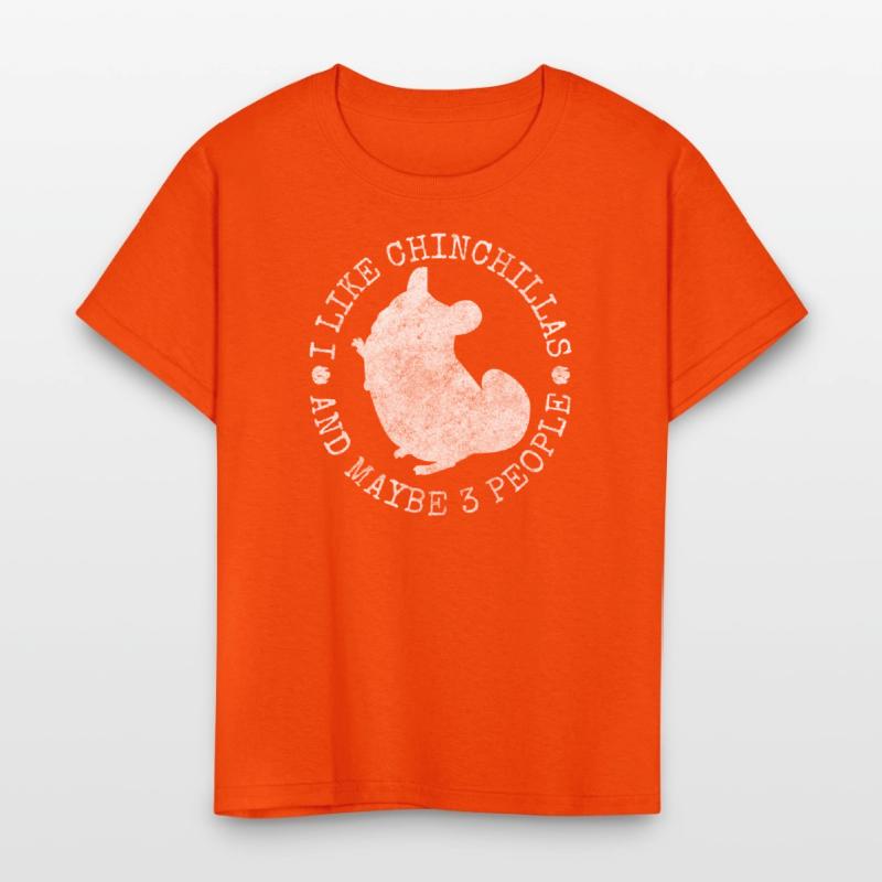 Chinchilla Rodent South America Cuddly