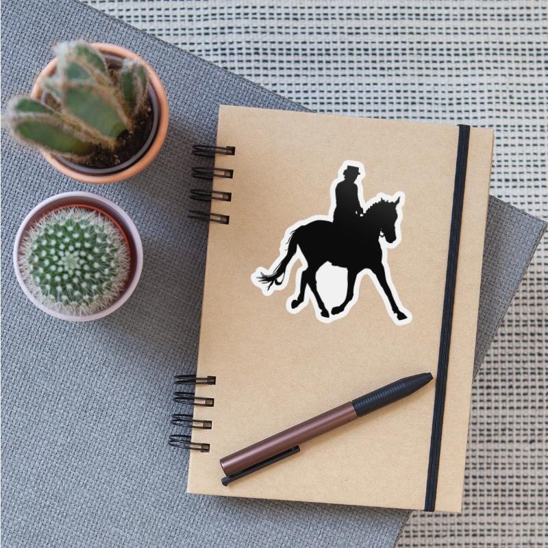 Equestrian Rider, Horse Riding, Horse, Cowgirl