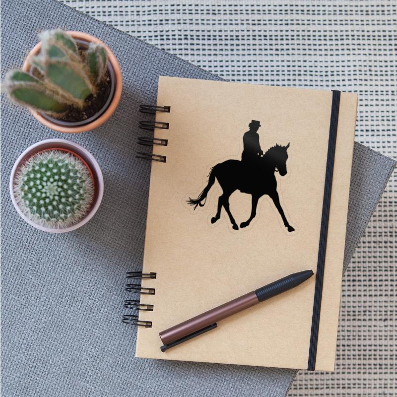 Equestrian Rider, Horse Riding, Horse, Cowgirl