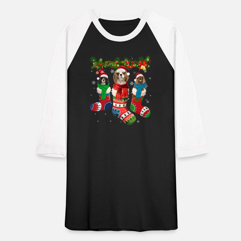 Three Cavalier King Charles Spaniel In Sock