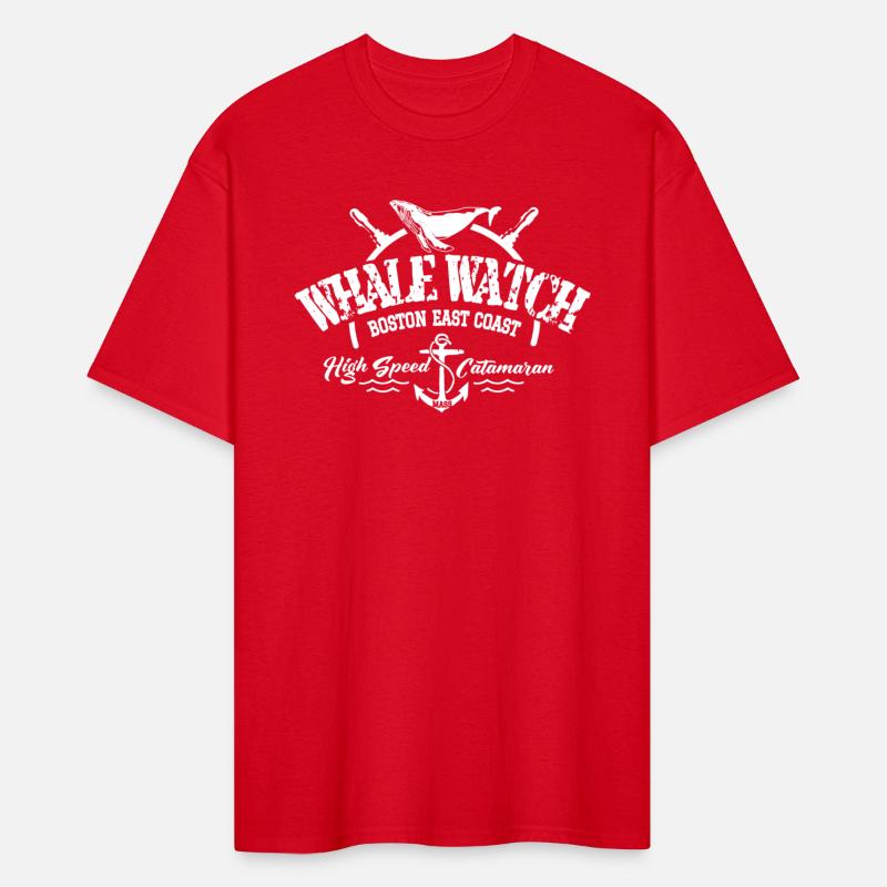 Whale Watch Boston East Coast